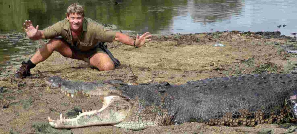 steve_irwin