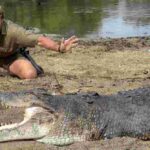 steve_irwin