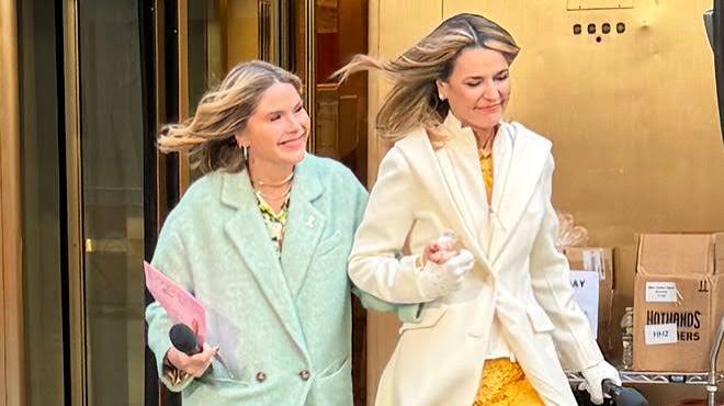 Savannah Guthrie Biography: Everything You Need to Know